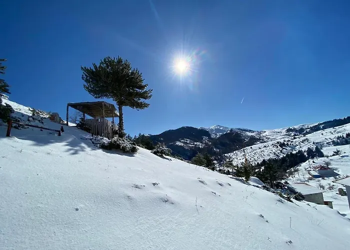 Hotel Perla E Tomorrit Polican (Berat)