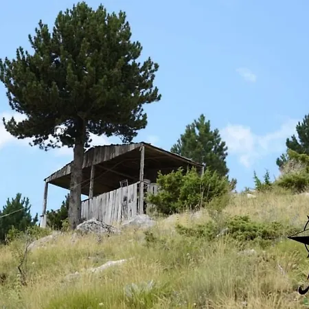 Perla E Tomorrit Polican (Berat)