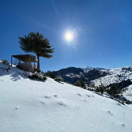 Hotel Perla E Tomorrit Polican (Berat)